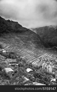 blur in philippines terrace field for coultivation of rice from banaue unesco site