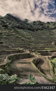 blur in philippines terrace field for coultivation of rice from banaue unesco site