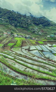 blur in philippines terrace field for coultivation of rice from banaue unesco site