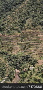 blur in philippines terrace field for coultivation of rice from banaue unesco site