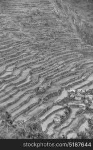 blur in philippines terrace field for coultivation of rice from banaue unesco site