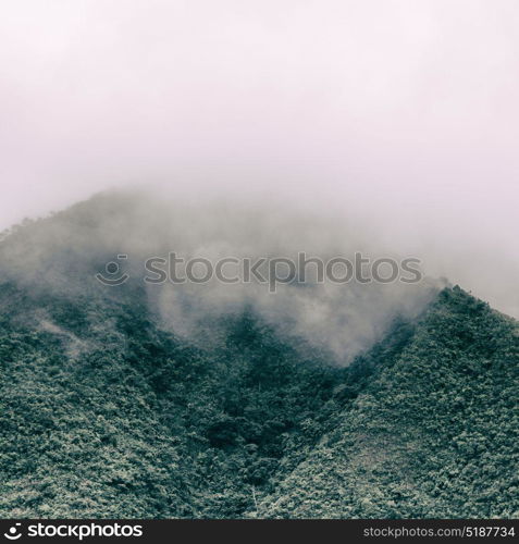 blur in philippines terrace field for coultivation of rice from banaue unesco site