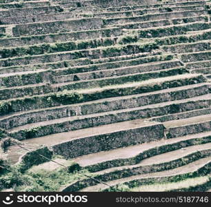 blur in philippines terrace field for coultivation of rice from banaue unesco site