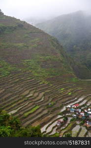 blur in philippines terrace field for coultivation of rice from banaue unesco site