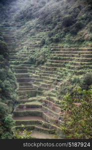 blur in philippines terrace field for coultivation of rice from banaue unesco site