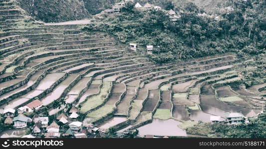 blur in philippines terrace field for coultivation of rice from banaue unesco site