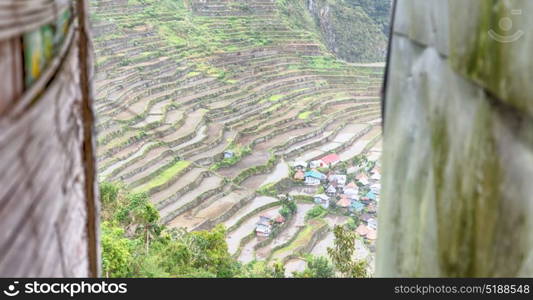 blur in philippines terrace field for coultivation of rice from banaue unesco site