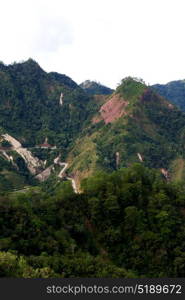 blur in philippines terrace field for coultivation of rice from banaue unesco site