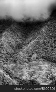 blur in philippines terrace field for coultivation of rice from banaue unesco site