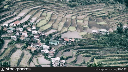 blur in philippines terrace field for coultivation of rice from banaue unesco site