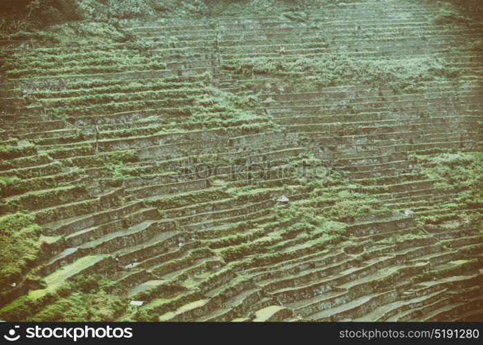 blur in philippines terrace field for coultivation of rice from banaue unesco site