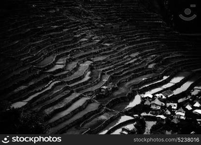 blur in philippines terrace field for coultivation of rice from banaue unesco site