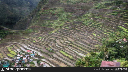 blur in philippines terrace field for coultivation of rice from banaue unesco site