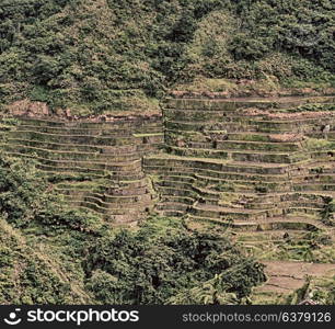 blur in philippines terrace field for coultivation of rice from banaue unesco site