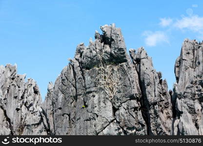 blur in philippines view from a boat of palm cliff beach and rock from pacific ocean