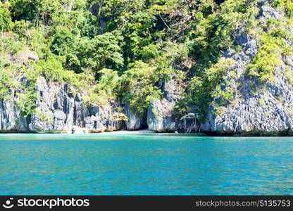 blur in philippines view from a boat of palm cliff beach and rock from pacific ocean