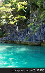 blur in philippines view from a boat of palm cliff beach and rock from pacific ocean