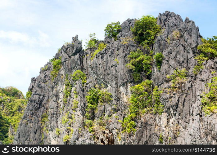 blur in philippines view from a boat of palm cliff beach and rock from pacific ocean