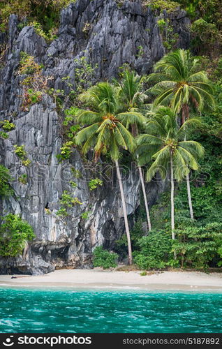 blur in philippines view from a boat of palm cliff beach and rock from pacific ocean