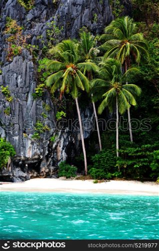 blur in philippines view from a boat of palm cliff beach and rock from pacific ocean