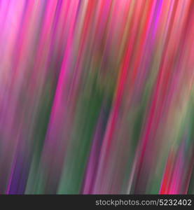 blur in south africa abstract leaf of cactus plant and light