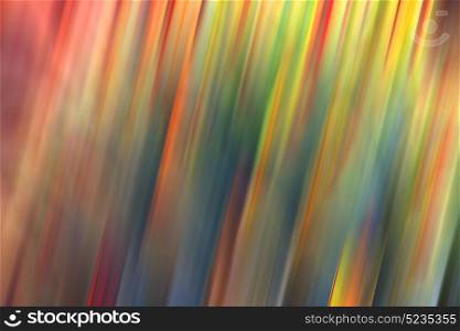 blur in south africa abstract leaf of cactus plant and light