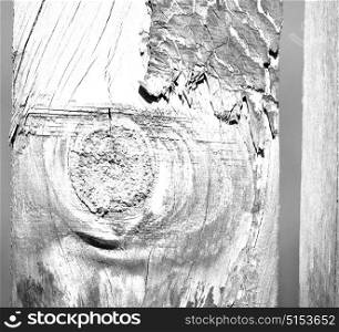 blur in south africa abstract wood closeup like background texture