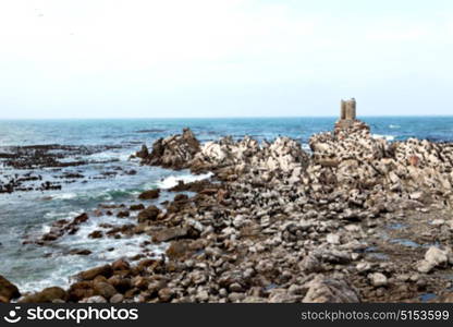 blur in south africa betty&rsquo;s bay wildlife nature reserve birds penguin and rocks