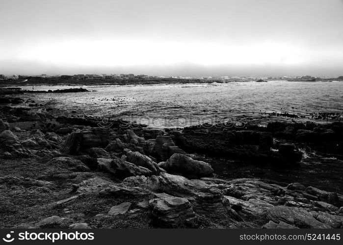 blur in south africa betty&rsquo;s bay wildlife nature reserve birds penguin and rocks