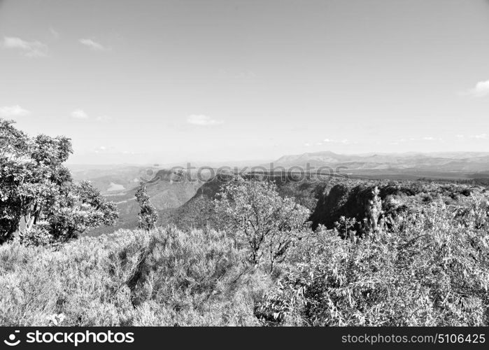 blur in south africa blyde river canyon plant rock and pond water