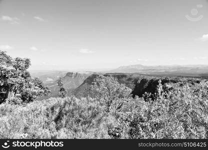 blur in south africa blyde river canyon plant rock and pond water