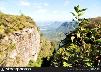 blur in south africa blyde river canyon plant rock and pond water