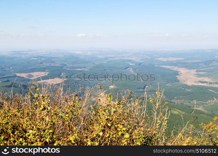 blur in south africa blyde river canyon plant rock and pond water