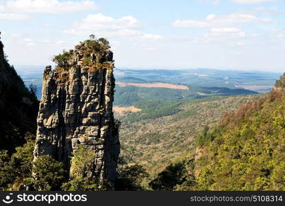 blur in south africa blyde river canyon plant rock and pond water