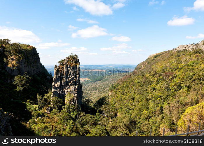 blur in south africa blyde river canyon plant rock and pond water