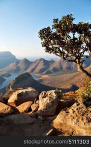 blur in south africa blyde river canyon plant rock and pond water