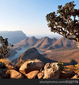 blur in south africa blyde river canyon plant rock and pond water