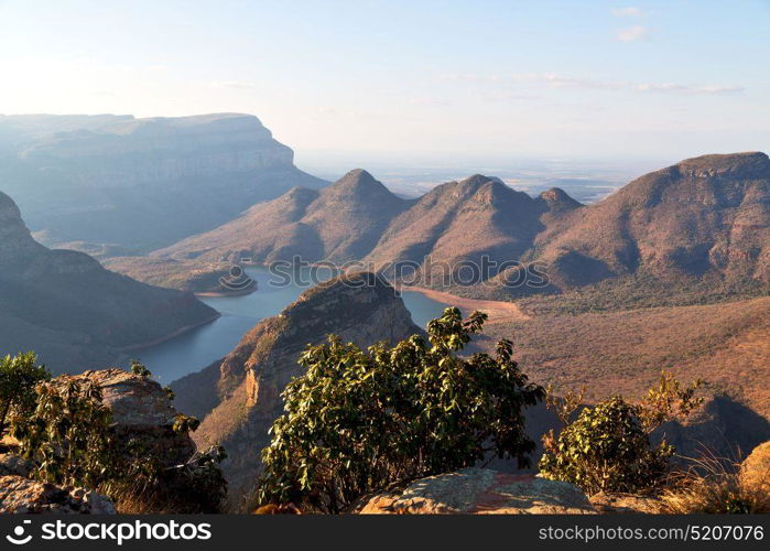 blur in south africa blyde river canyon plant rock and pond water