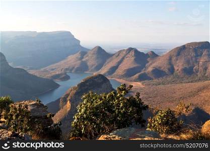 blur in south africa blyde river canyon plant rock and pond water