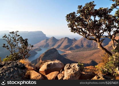 blur in south africa blyde river canyon plant rock and pond water