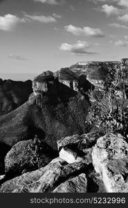 blur in south africa blyde river canyon plant rock and pond water