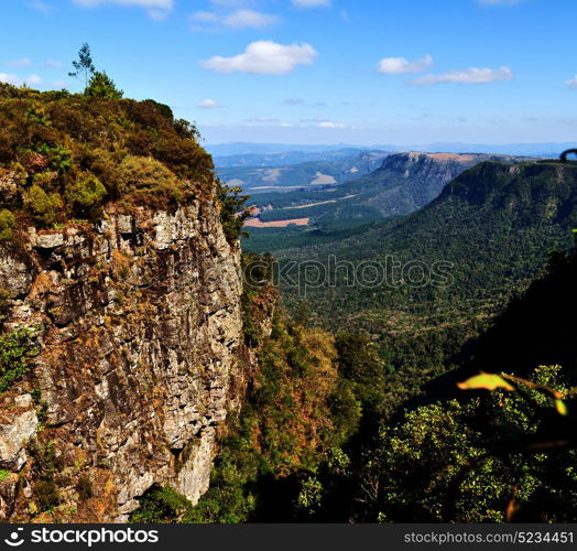 blur in south africa blyde river canyon plant rock and pond water