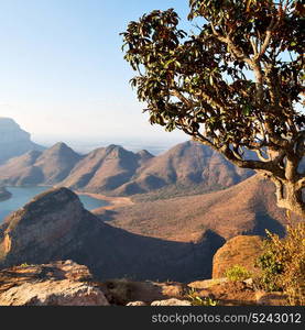 blur in south africa blyde river canyon plant rock and pond water