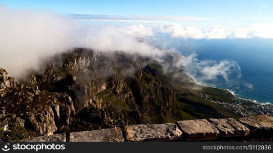 blur in south africa cape town panoramic from table mountain tree nature and cloud