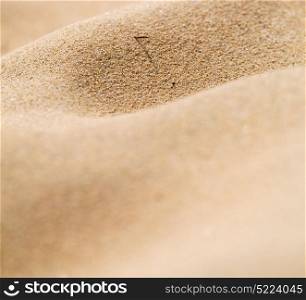 blur in south africa close up of the coastline beach abstract sand texture background