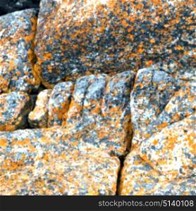 blur in south africa close up of the coastline stone abstract texture background