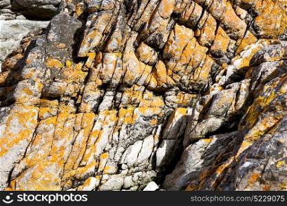 blur in south africa close up of the coastline stone abstract texture background