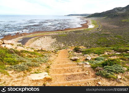 blur in south africa coastline cape of good hope and natural park reserve