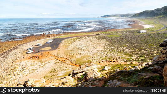 blur in south africa coastline cape of good hope and natural park reserve