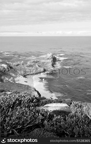 blur in south africa coastline cape of good hope and natural park reserve